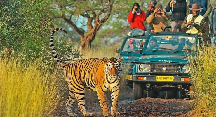 DELHI – SARISKA – JAIPUR – RANTHAMBORE – BHARATPUR – AGRA – DELHI